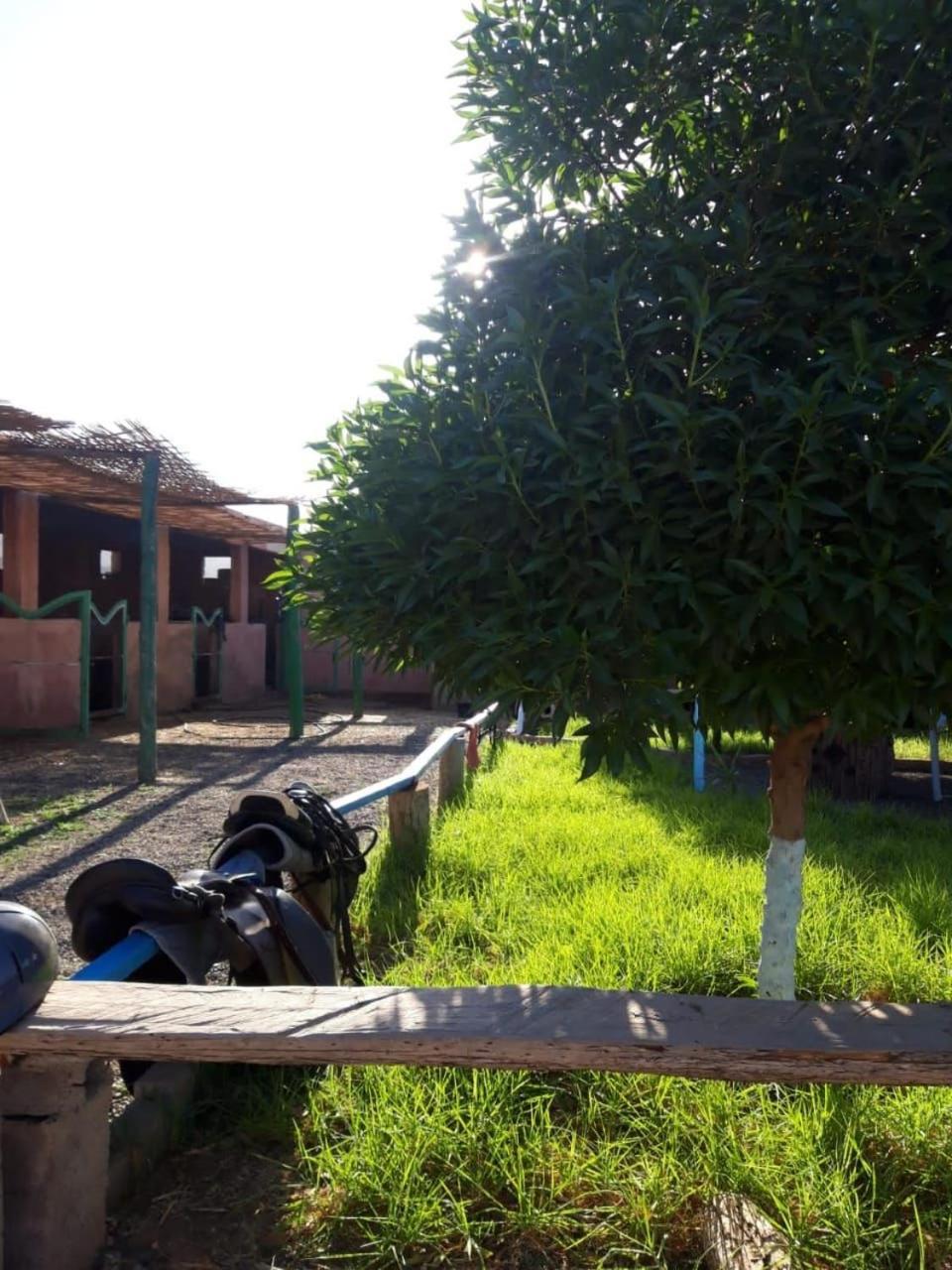 Les Cavaliers Chez Yassine Villa Marrakesh Luaran gambar
