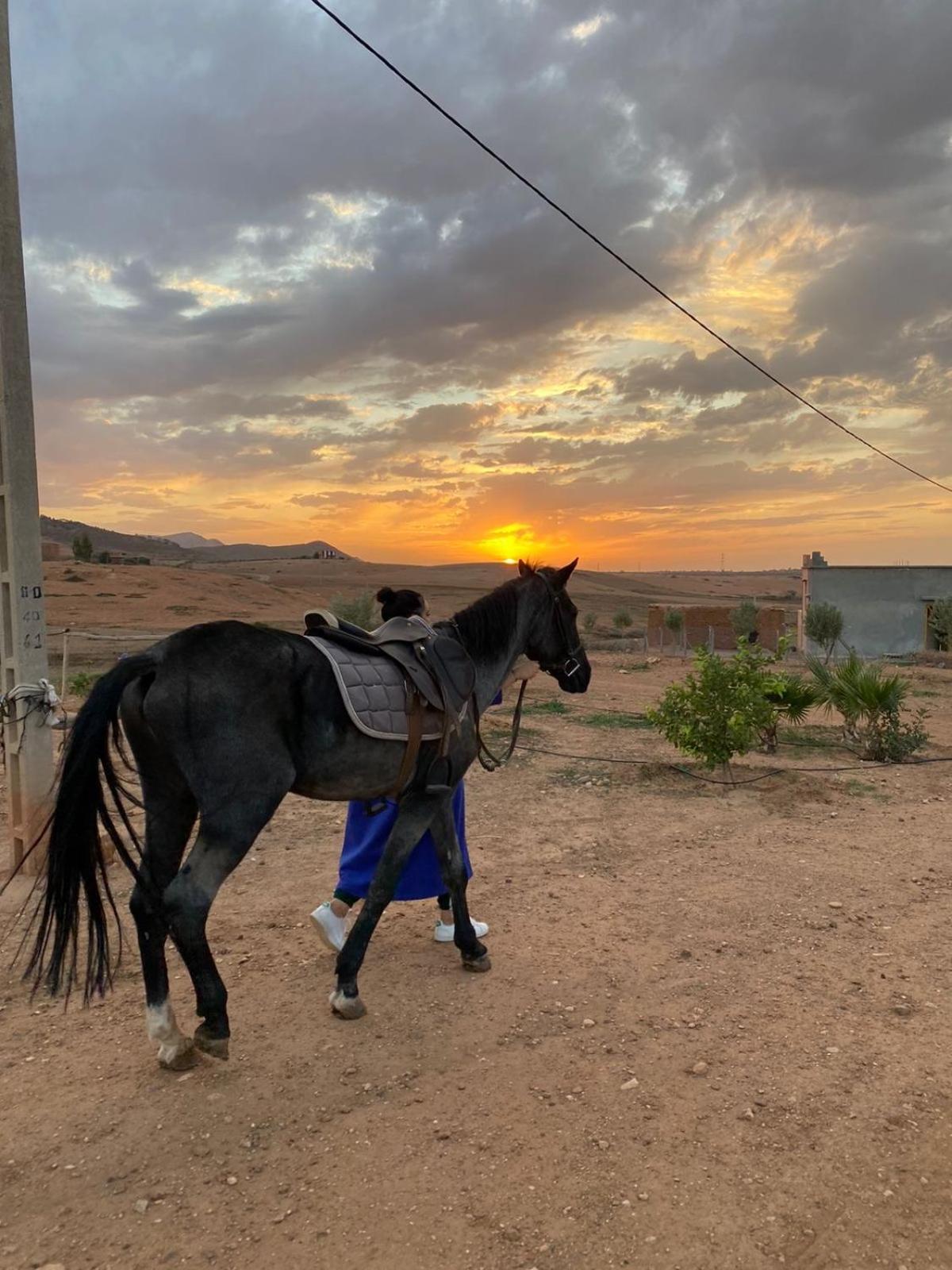 Les Cavaliers Chez Yassine Villa Marrakesh Luaran gambar