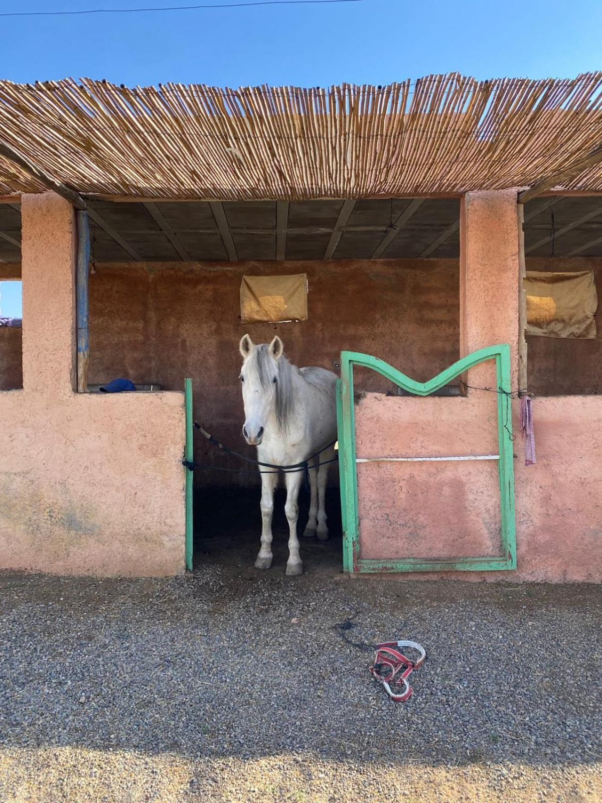 Les Cavaliers Chez Yassine Villa Marrakesh Luaran gambar