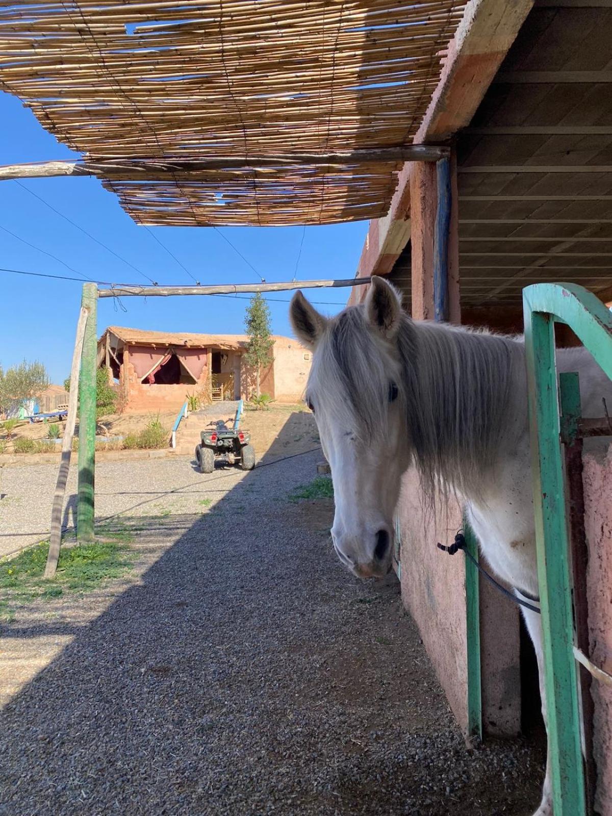 Les Cavaliers Chez Yassine Villa Marrakesh Luaran gambar