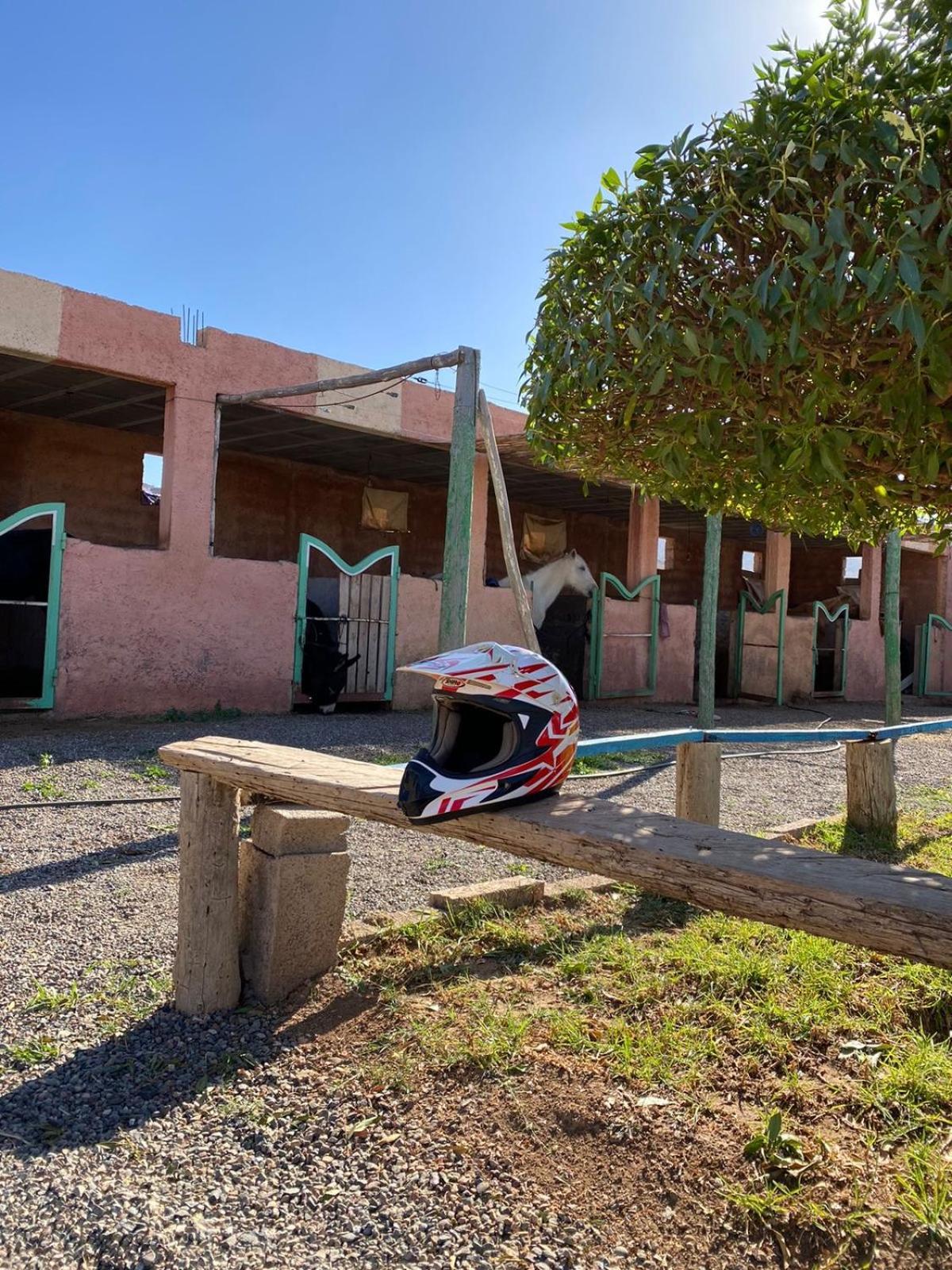 Les Cavaliers Chez Yassine Villa Marrakesh Luaran gambar
