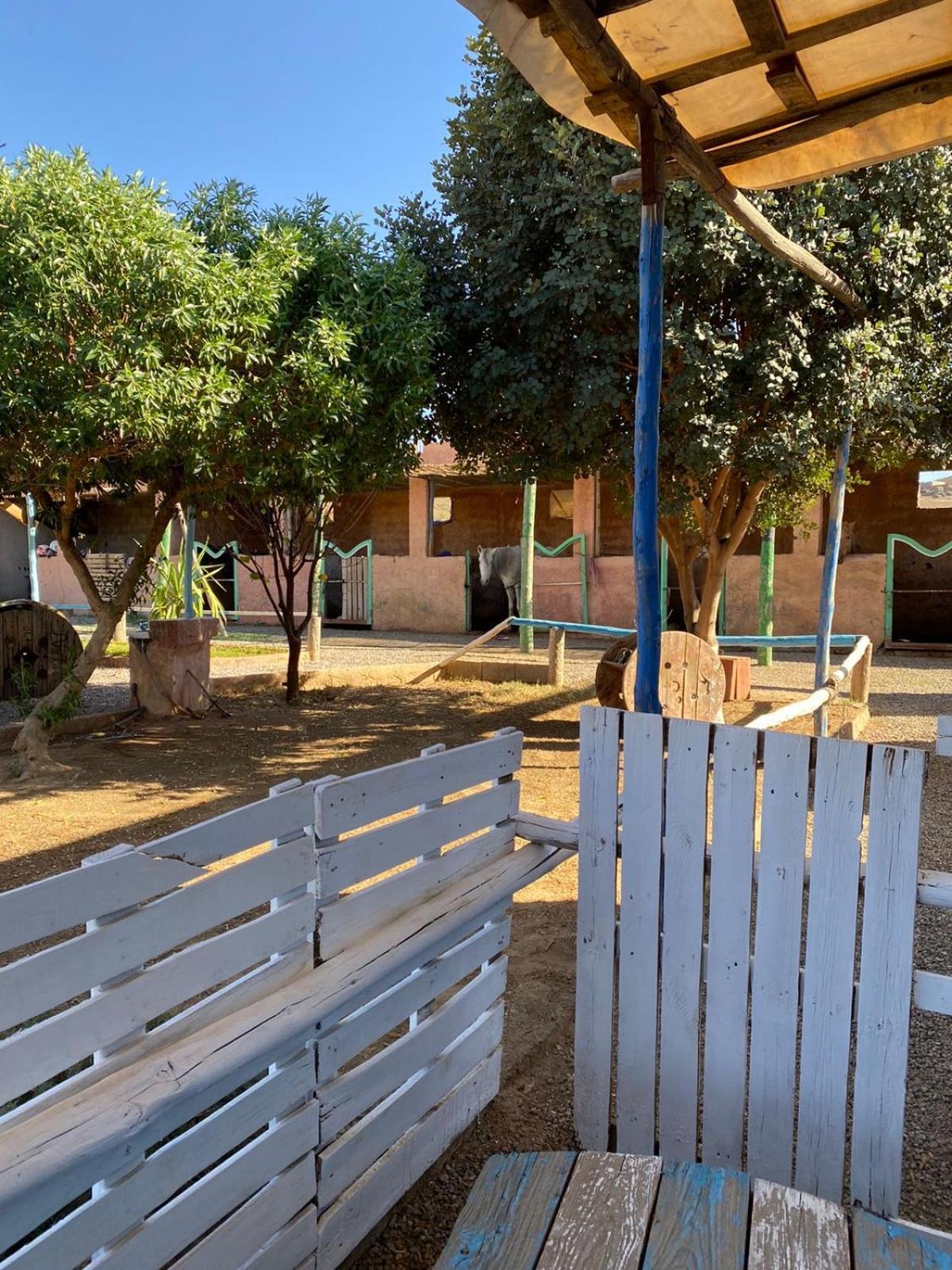 Les Cavaliers Chez Yassine Villa Marrakesh Luaran gambar