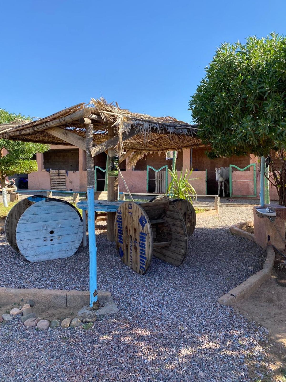 Les Cavaliers Chez Yassine Villa Marrakesh Luaran gambar